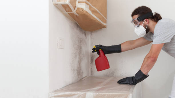Professional Attic Mold Remediation technician working in Bayville, NY